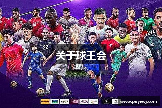 关于球王会